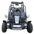 Erwachsenen Dune Buggy Benzin 300cc schwarz 